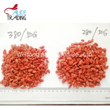 China New Crop Healthy Food Goji Berry Bulk Selling Gojiberry Dried Gojiberry